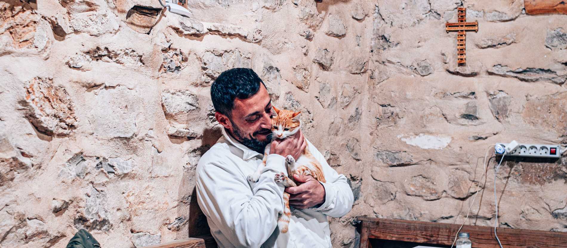Katze im christlichen Kloster Saint-Moise l'Abyssin (Syrien)