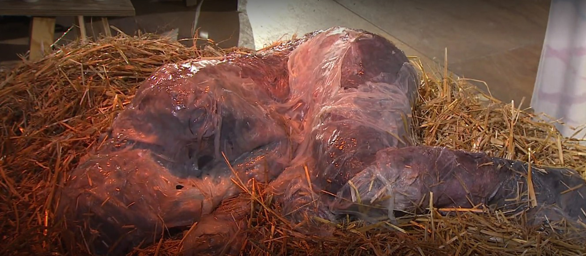 Screenshot der Christmette 2025 aus Stuttgart aus der ARD-Mediathek