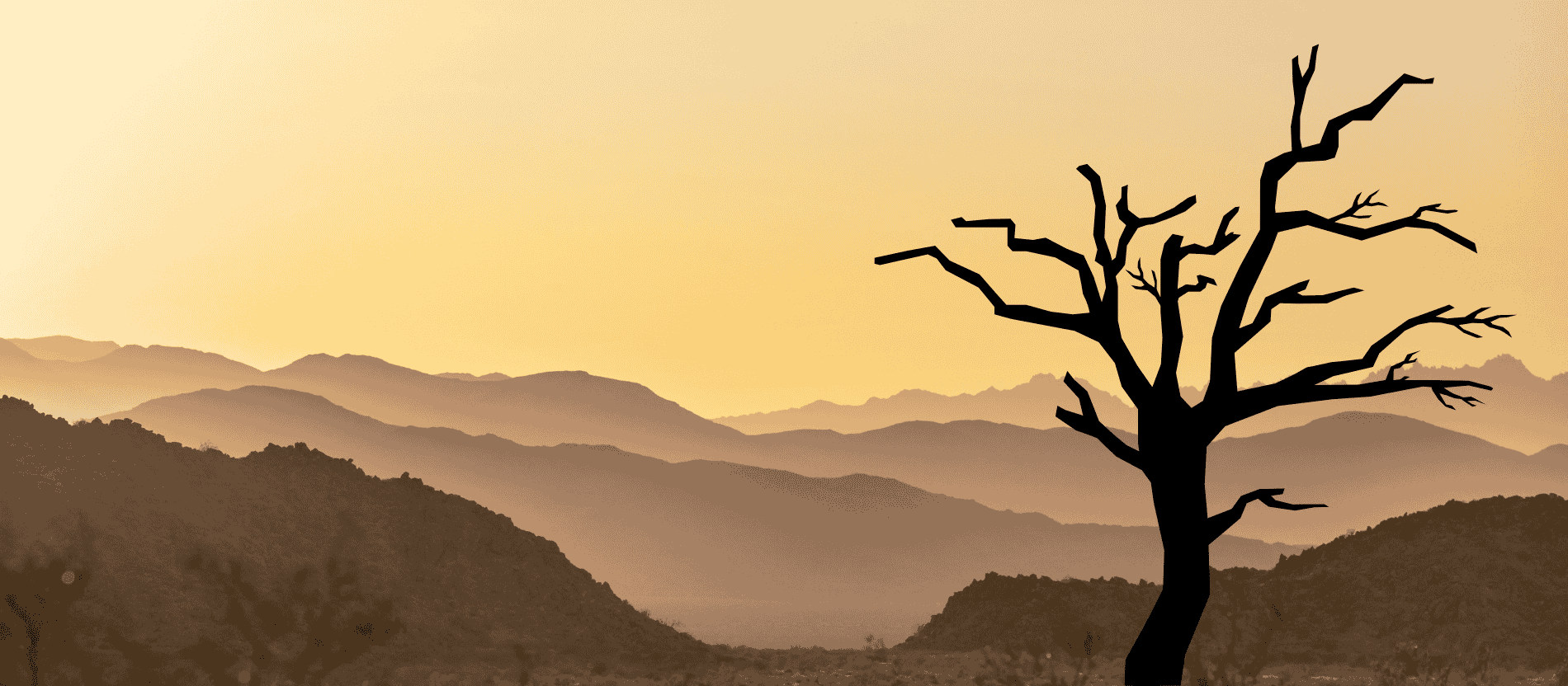 Baum vor Wüste