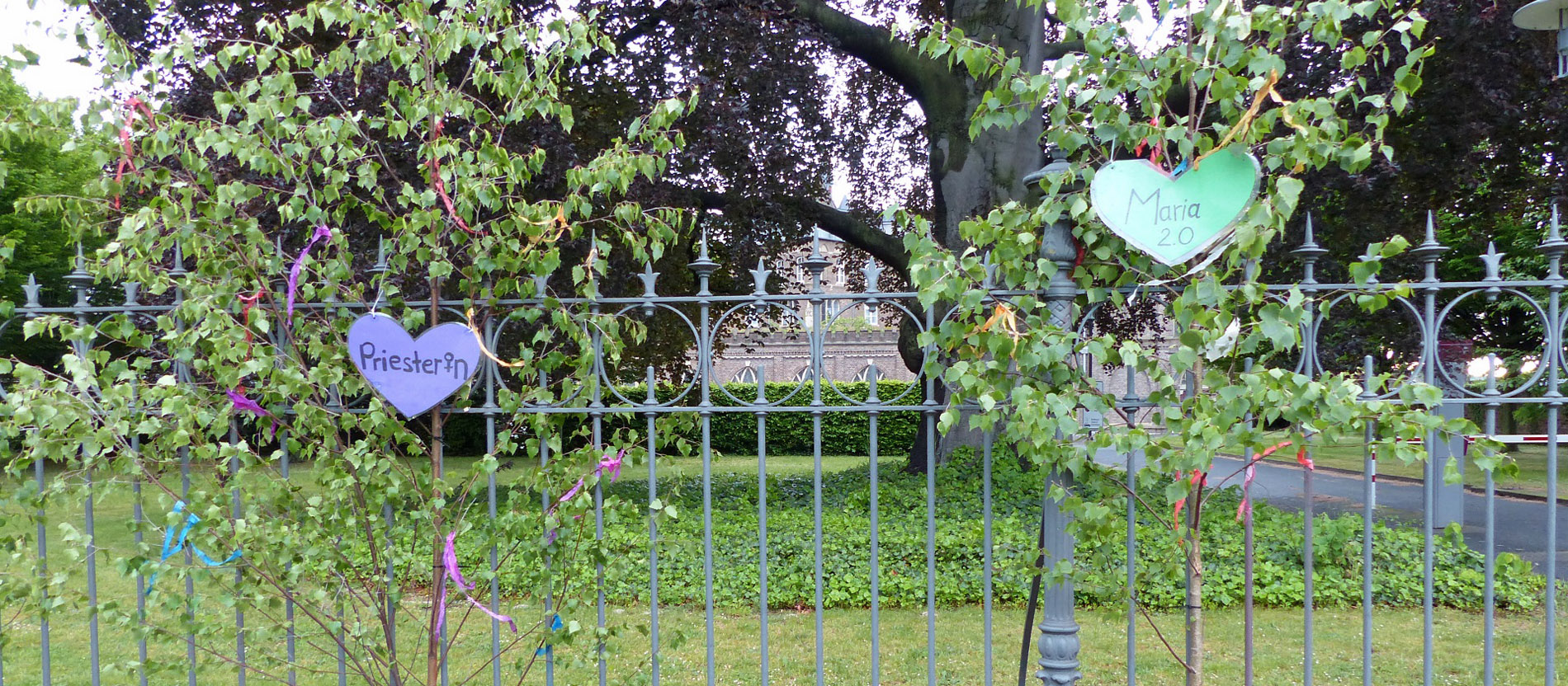 Maibäume in Bonn
