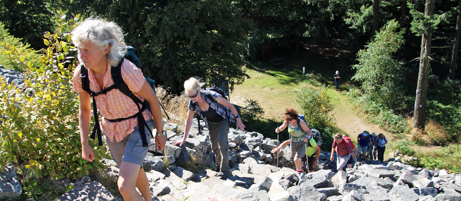 Eine Gruppe mittelalter Menschen in sommerlicher Wanderkleidung steigt einen steinigen Hang hoch.