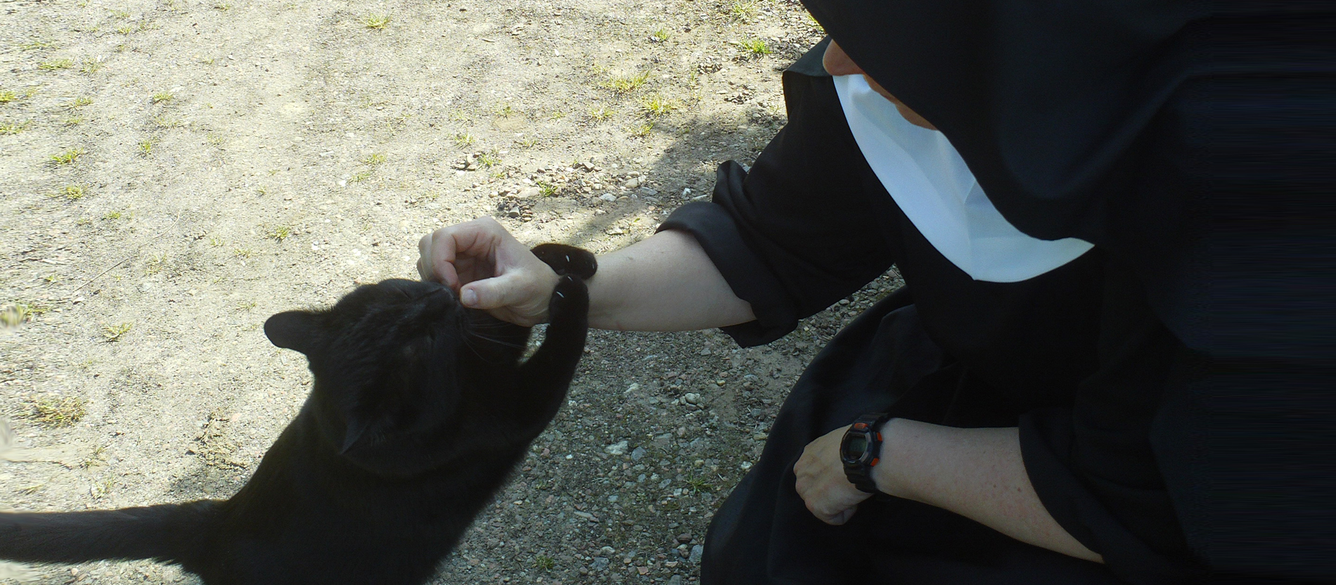 Kater Frodo bekommt ein Leckerchen von Schwester Justina.