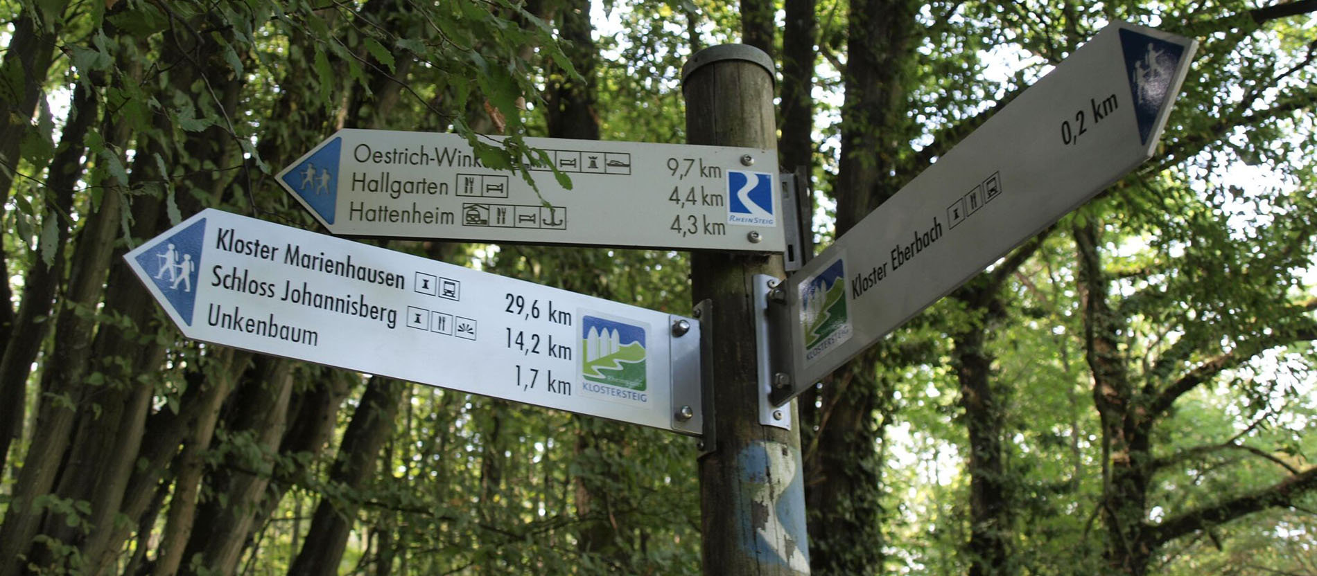 Wegseiser auf einem Wanderweg