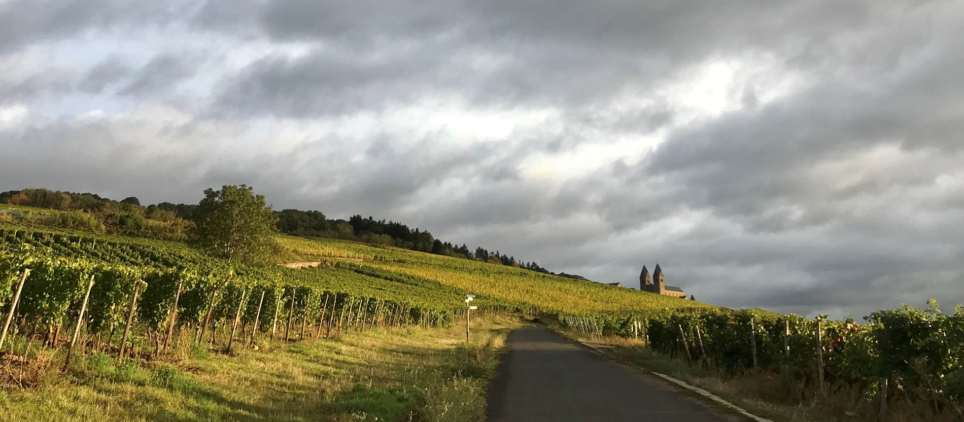 Die Benediktinerinnenabtei St. Hildegard thront oberhalb von Rüdesheim inmitten von Weinbergen über dem Mittelrhein.