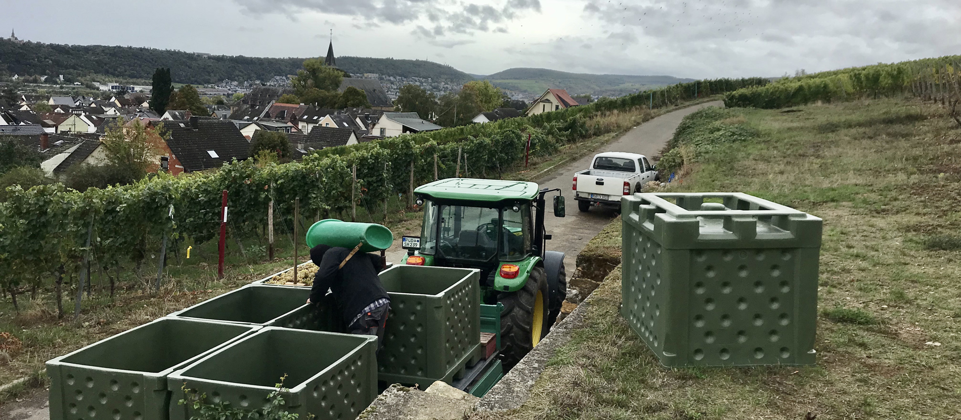 Etwa 800 Liter fasst eine der rechteckigen Bütten, mit denen die Weintrauben zur Kelter transportiert werden.