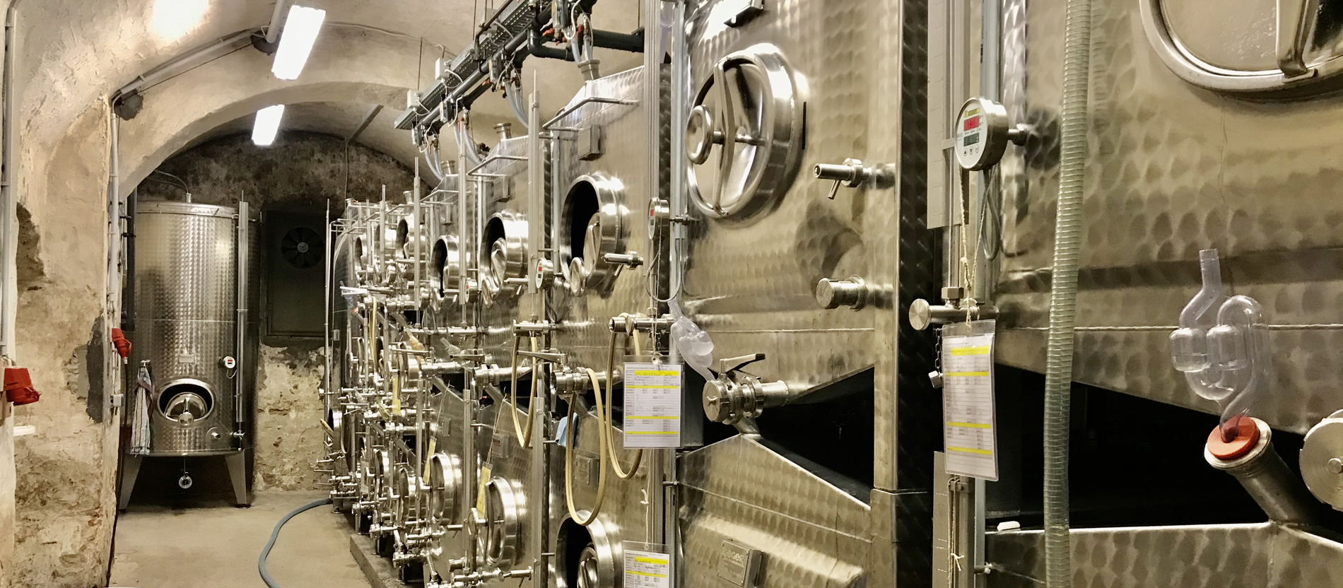 In den modernen Edelstahltanks kann die Vergärung des Riesling-Mosts mittels digitaler Temperaturregulierung präzise gesteuert werden.