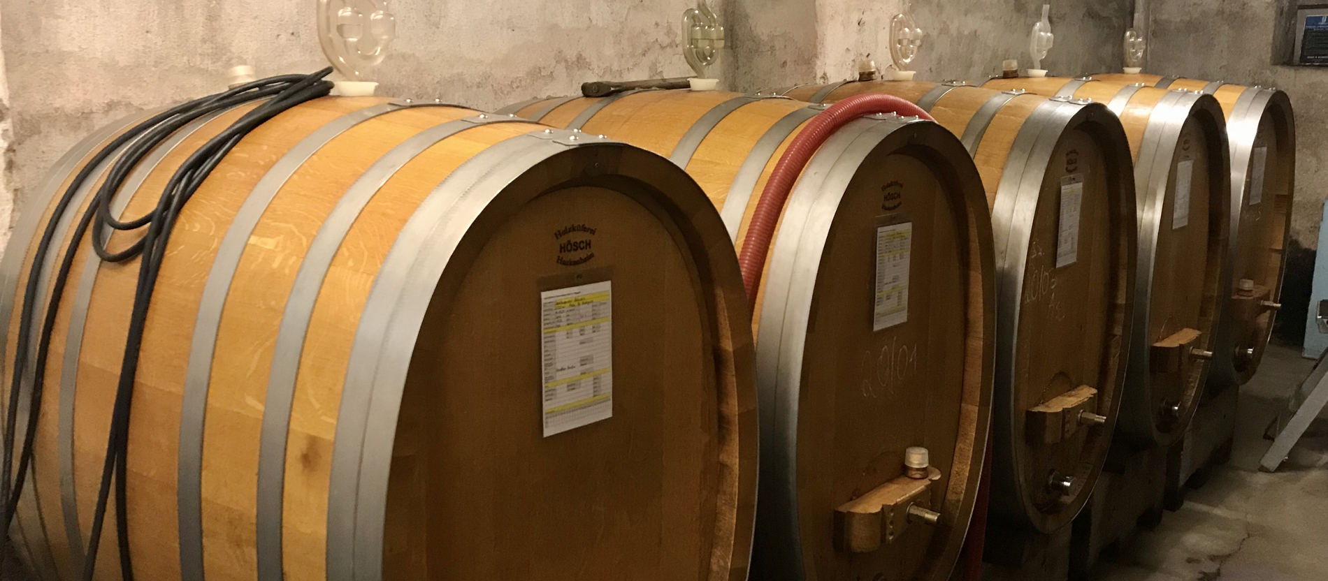Die Rotweine des Klosters werden bis heute im klassischen Eichenholzfass ausgebaut.