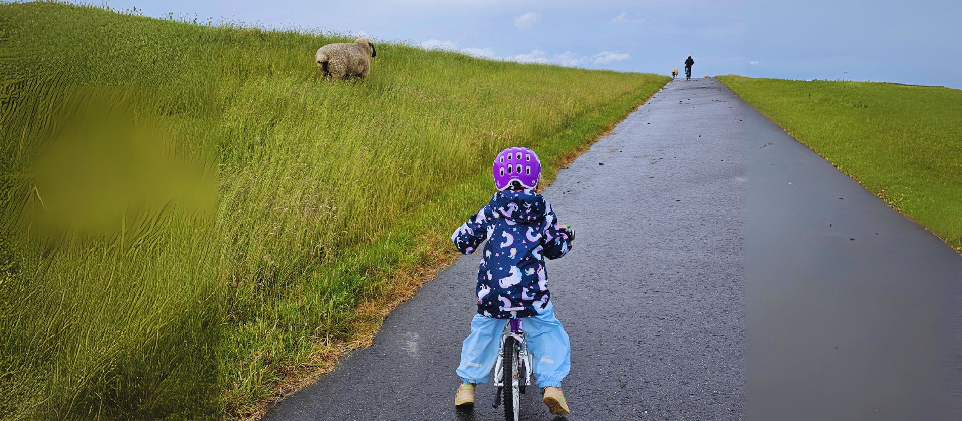 Ein Kind mit lila Fahrradhelm und bunter Regenjacke fährt auf einem nassen, asphaltierten Weg durch eine grüne Hügellandschaft. Links im Gras steht ein Schaf, weiter vorne fährt eine weitere Person mit Fahrrad. Der Himmel ist bewölkt.